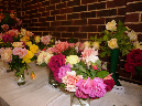 rose-display-6