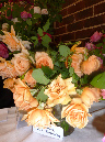 rose-display-8